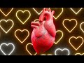 How Awareness and Action Can Lead to Healing | Pamela Hawkins TEDx Talk