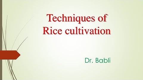 Agriculture: Rice cultivation-Part-3: JRF#SRF#NSC#Agronomy NET & other agriculture competitive exams