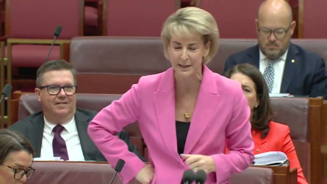 Michaelia Cash explains the 