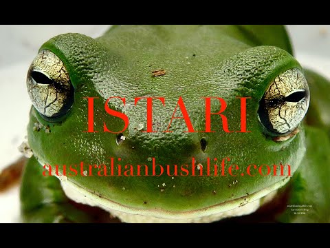ISTARI - Clarence Valley - Australia