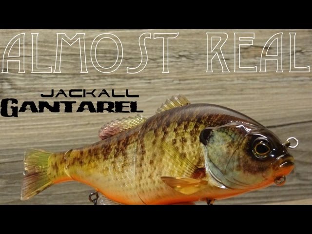 Jackall TN Lipless Crankbaits - Tackle Warehouse