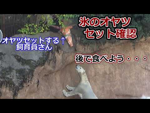 Polar bear's 1 minute video #359] Ice treats 💗 set confirmation