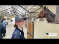 Aitc  equine quickstart