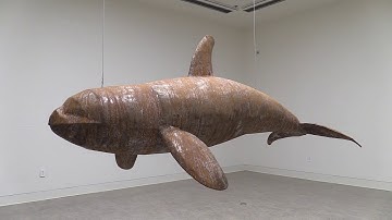 1st place - Resonant Disintegration -- Colton Hash