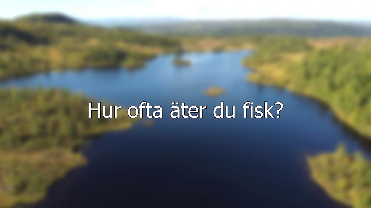 Vatten till bord - Storöringens fiskeklubb intervjuar om fiskkonsumtion.