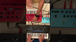 Korg Minilogue Xd Monologue Strymon Big Sky Synthesizer Improvisation 