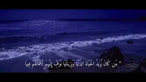 سورة هود | آية ١٥ - ١٦