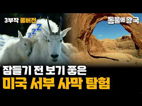 [3부작 풀버전] 미대륙 서부 지형을 따라 만들어낸 광활한 대자연✨ㅣ와일드 웨스트