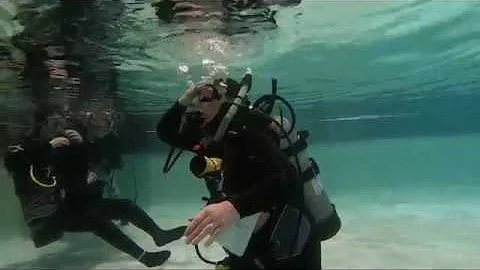 Scuba certification training for group with spinal cord injuries - DayDayNews