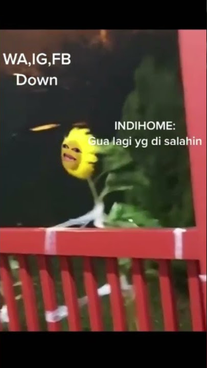 siapa yang ngira wifi error karena fb ig wa lagi ngedown? #igdown #waerror #indihome #tiktok #reels
