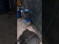 Fiat Doblo Full service / Mechanic POV