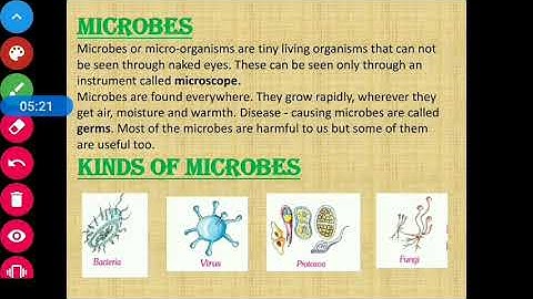 Class 4 Science Chapter 6  CBSE Board  Teeth And Microbes Part 2- #LearnPlaySchool