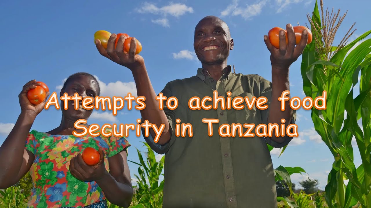 Food security in Tanzania - YouTube