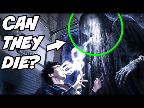 Can Dementors DIE? - Harry Potter Theory