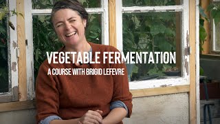 Vegetable Fermentation | A course with Brigid Lefevre