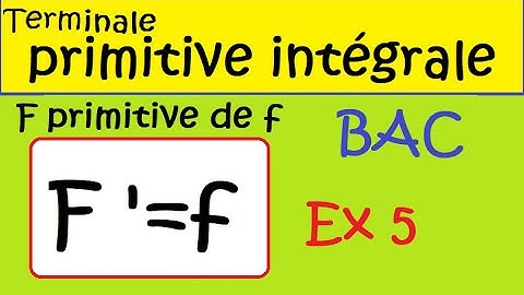 Terminale-primitives et intégrales au BAC  F-primitive de f-ex5 BAC 2019