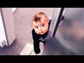 Cutest Baby Doing Hilarious Things - Funny Baby Videos