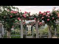 The Most Beautiful Flower Fences Around The House