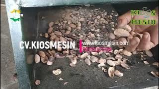 Mesin Kupas Cangkang Pala Elektrik  -  Mesin Pemecah Kulit Biji Pala