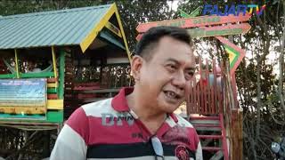 Fajar Tvliburan Di Desa Wisata Hutan Mangrove Bulucindea Pangkep