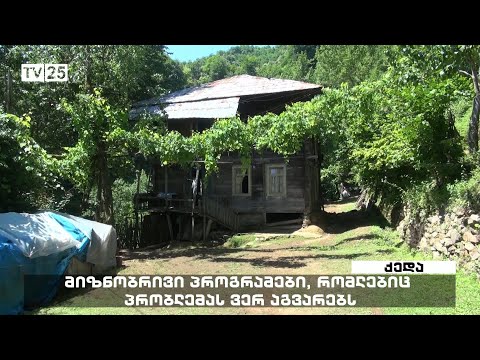 მიზნობრივი პროგრამები, რომლებიც პრობლემას ვერ აგვარებს