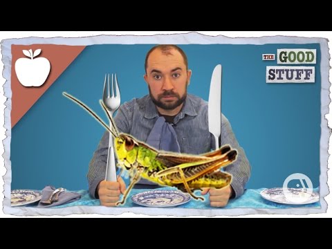 Why You Should Eat Bugs