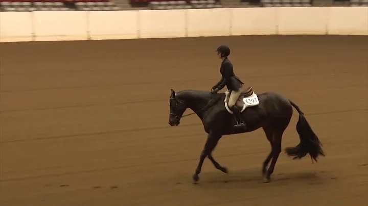 181024 Youth Hunt Seat Equitation 12 14 Lily Richa...