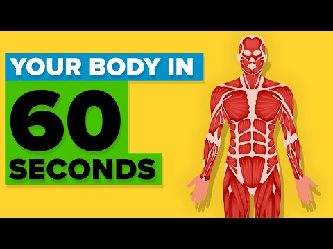 This Will Happen In Your Body In The Next 60 Seconds