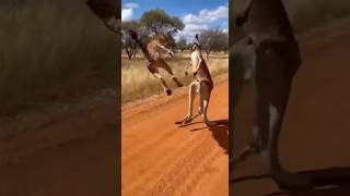 Slip Cleancounter Violent