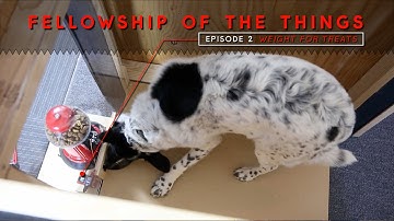 SparkFun Fellowship of the Things #2 - Weight for Treats