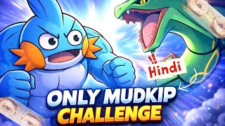 { Hindi } Defeating the Elite 4 And Champion With Only Mudkip 🐸