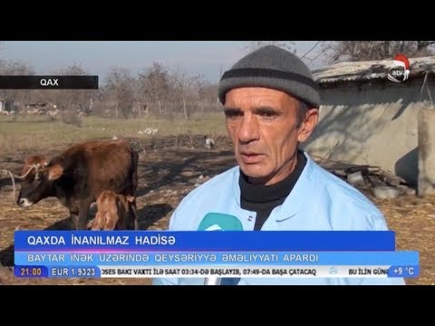 Video: Balaca inəyin müddəti bitir?