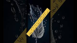 Ham ny shagirdi ki hy # virel # poetry # amazing # beautifull