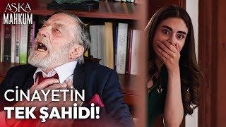 Miras İçin Babasına Kıydı! | Aşka Mahkum 40. Bölüm
