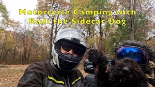 Camping with Rudi the Motorcycle Sidecar Dog