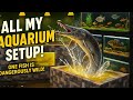 ALL MY AQUARIUM SETUPS + PONDS 🐟 | My Full Fish Collection!”✨❤️