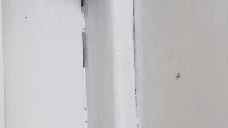How to release painted shut windows