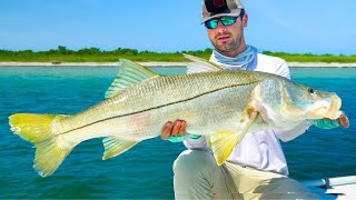 This Fish Took YEARS To Catch! Beach Snook Fishing