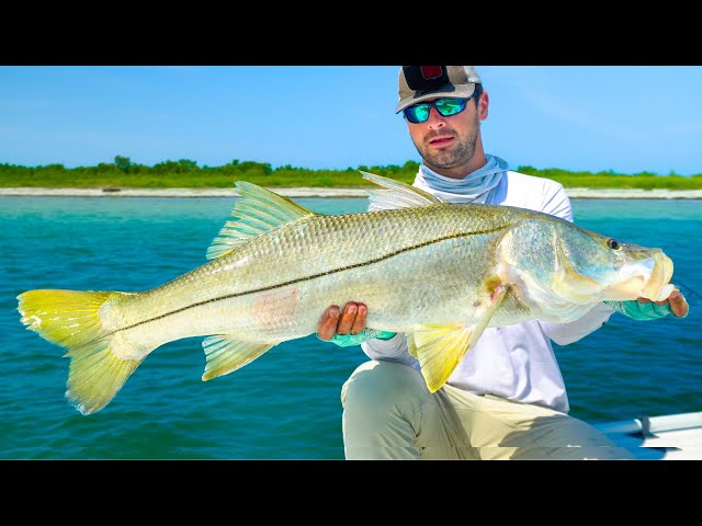 This Fish Took YEARS To Catch! Beach Snook Fishing 