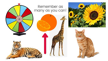 2-MINUTE Memory Test (Only GENIUS can answer all correctly)