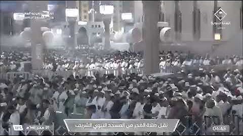 صلاة الفجر المسجد النبوي الشيخ محمد برهجي خواتيم سورة التوبة الجمعة 7 صفر 1447هـ.
