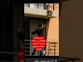 أصحابة رحلو وتركوة وحيدا