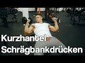 Kurzhantel- Schrägbankdrücken: Ausführung - richtige Technik und Übungsausführung