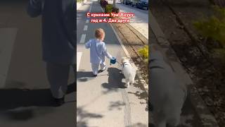 #израиль#жизнь#внук#шитцулучшиесобаки#гуляем