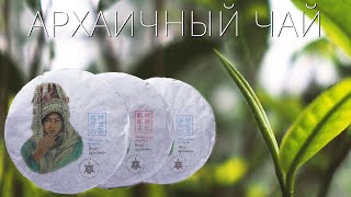 Вкус архаики – новая линейка чая из путешествий. Podarkivostoka.