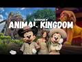 ¿Vale la pena DISNEY’S ANIMAL KINGDOM? 🐘🌿 DISNEY WORLD ✨Atracciones, shows y personajes.