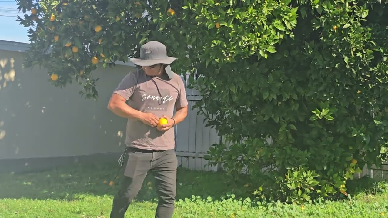 Las naranjas estan acidas.