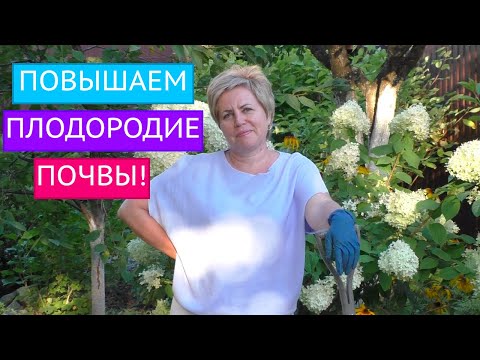 Видео: Что в хорошей почве?