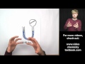 Understanding Atmospheric Pressure Concepts