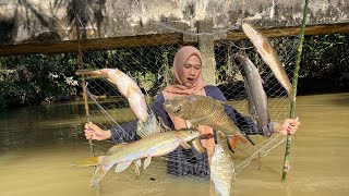 AMAZING! CATCHING FISH | Pukat Ikan Dapat Banyak‼️